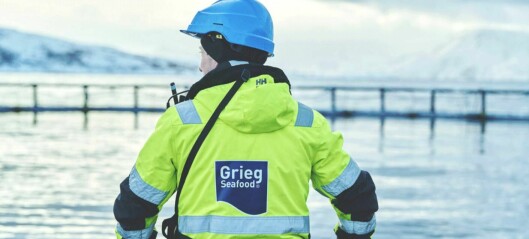 Grieg confirms Shetland sale talks