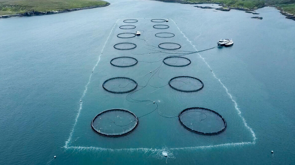 The tight microbubbles screen (TMS) at Mowi's Stulaigh salmon farm, Uist.