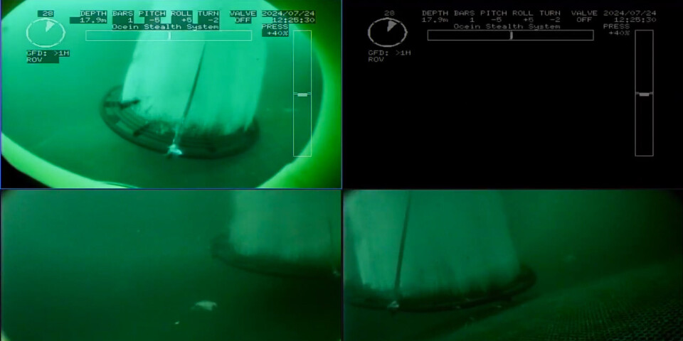 Images of the upwelling system on a cage camera.