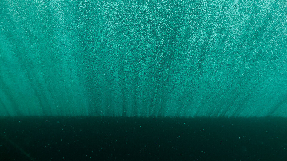 The TMS curtain is designed to keep out zooplankton, jellyfish, and other things that may harm farmed fish.