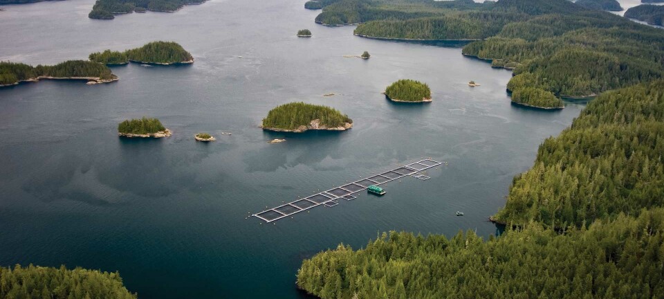 Canada invites applications for BC closed containment salmon farms