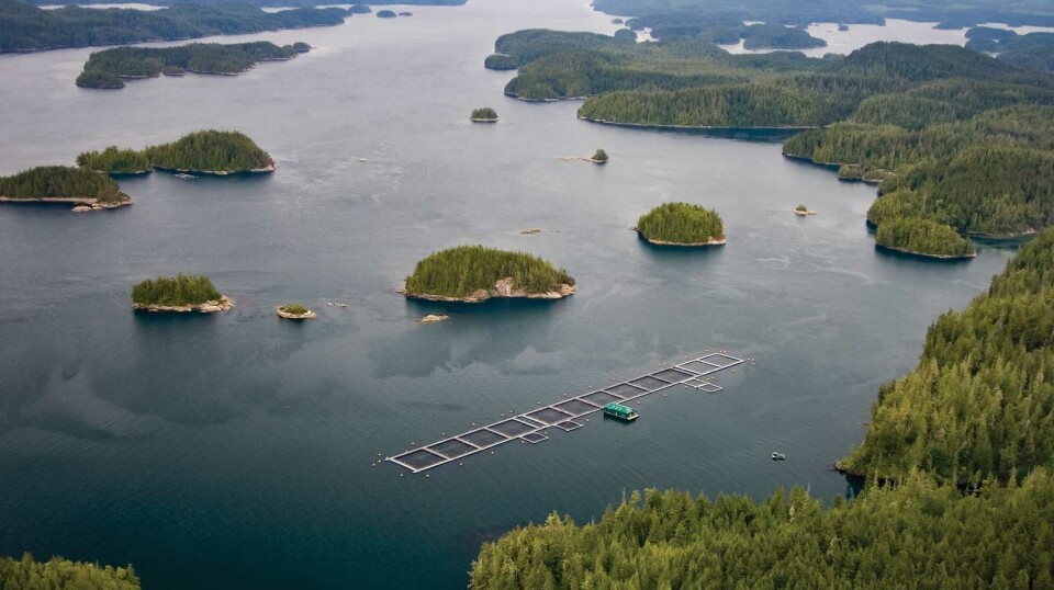 An open net-pen salmon farm in British Columbia.