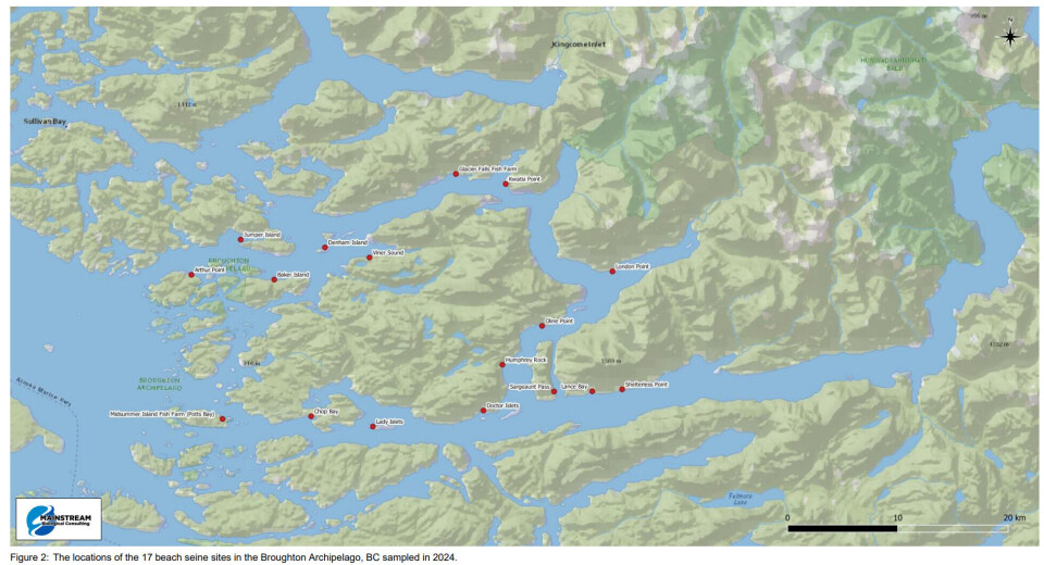 Mainstream Biological Consulting netted salmon at 17 sites in the Broughton Archipelago and found that, so far, removal of farms has not reduced lice numbers.