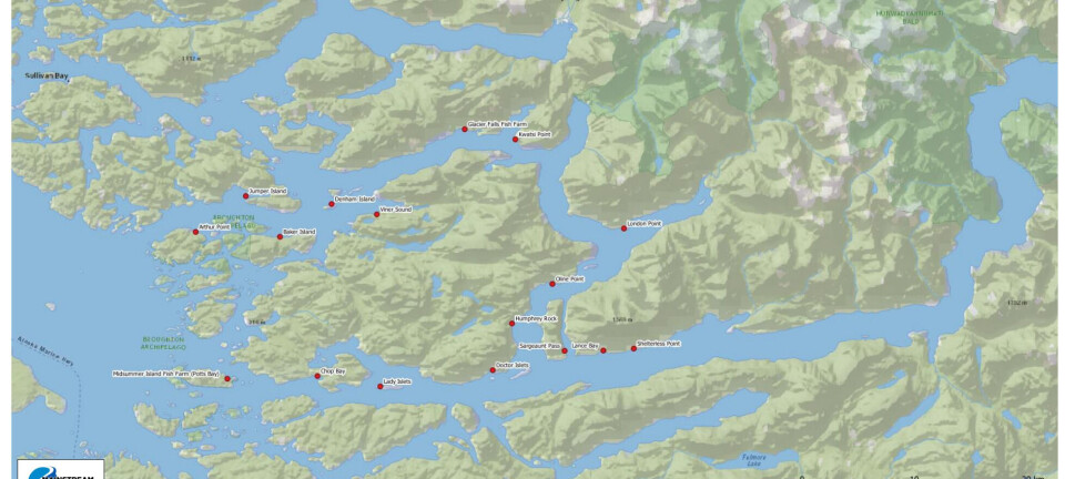 Salmon farm closures have not reduced lice infestation in British Columbia