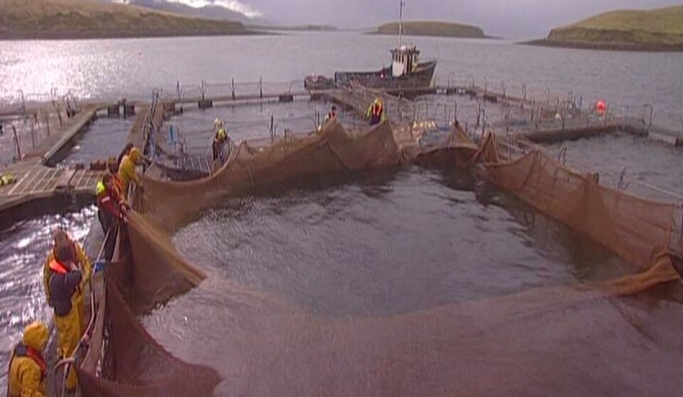Mannin Bay Salmon's farm.