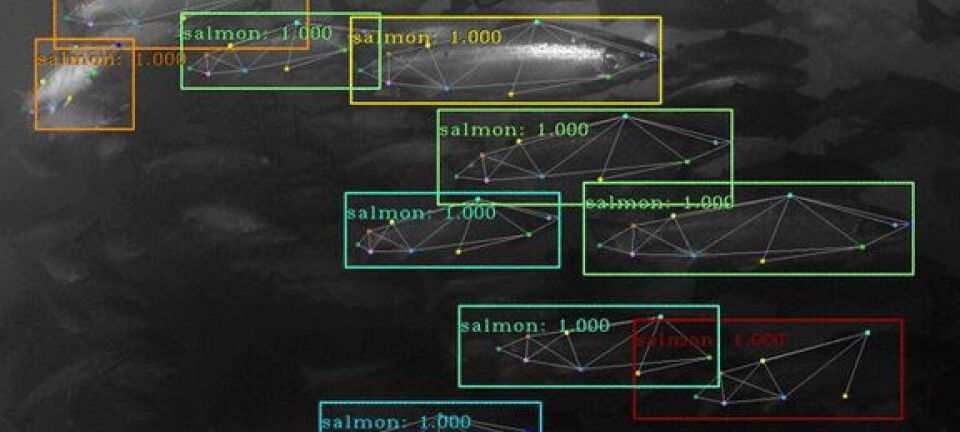 Google-created company launches 'most advanced' cage camera and AI system