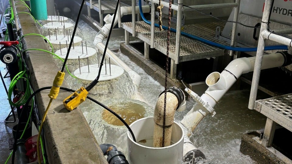 Reeldata installation and shipment of equipment going to Grieg Seafood.
