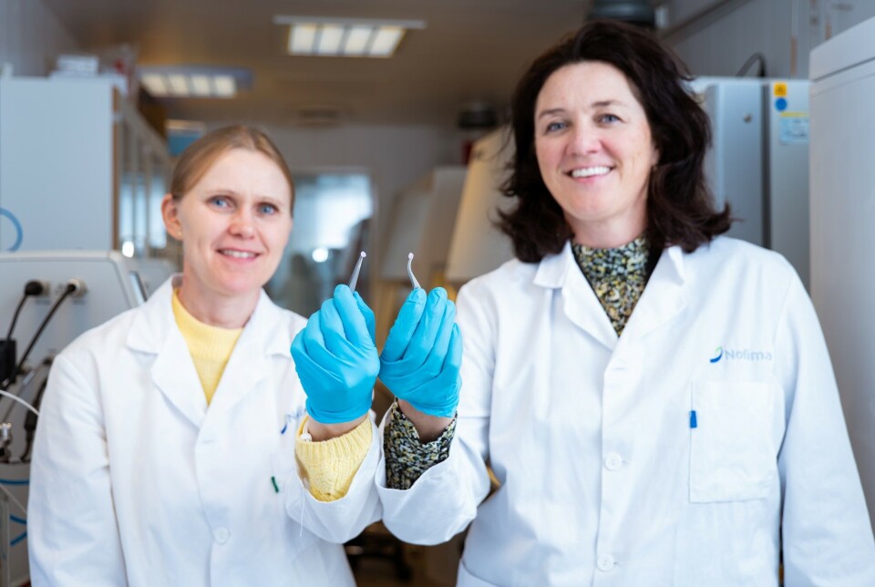 Engineer Nina Solberg and scientist Sissel Beate Rønning, with muscle cells grown in the lab.