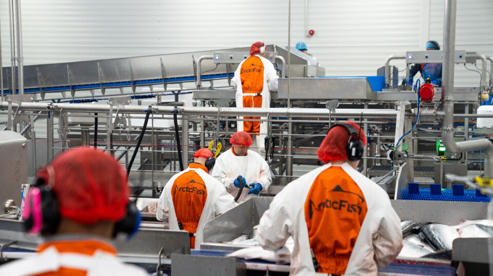 The Drimla slaughterhouse and processing plant is operating at full capacity and will further expand its capacity.