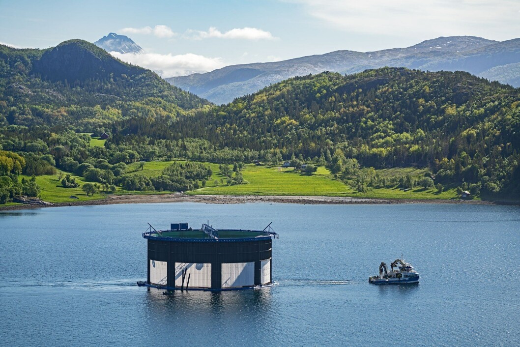 Third generation Aquatraz cage at the Kipholman site in Nærøysund municipality. Photo: Steinar Johansen / MNH. Third generation Aquatraz cage at the Kipholman site in Nærøysund municipality. Photo: Steinar Johansen / MNH.