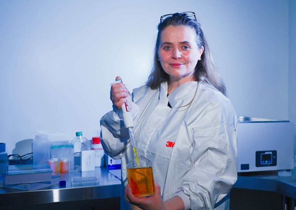 Margaret Rae, founder of Konree Innovation, Galway.