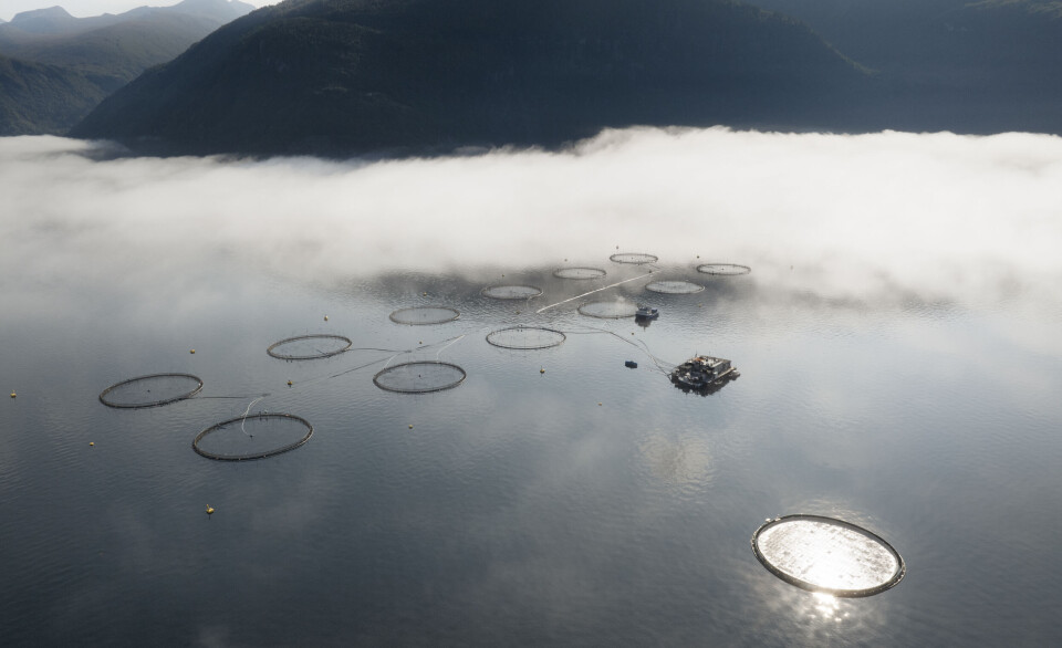 An Alotta floating array of solar panels, at the bottom right of the photo, catches the sun at a Norwegian fish farm site.