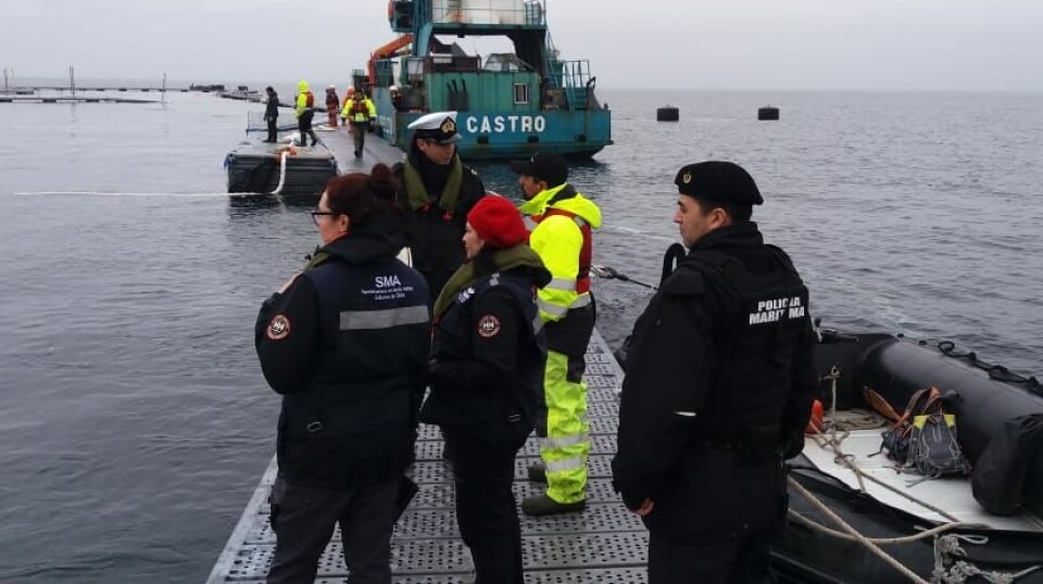 Watchdog inspected salmon farms more often than all other industries together