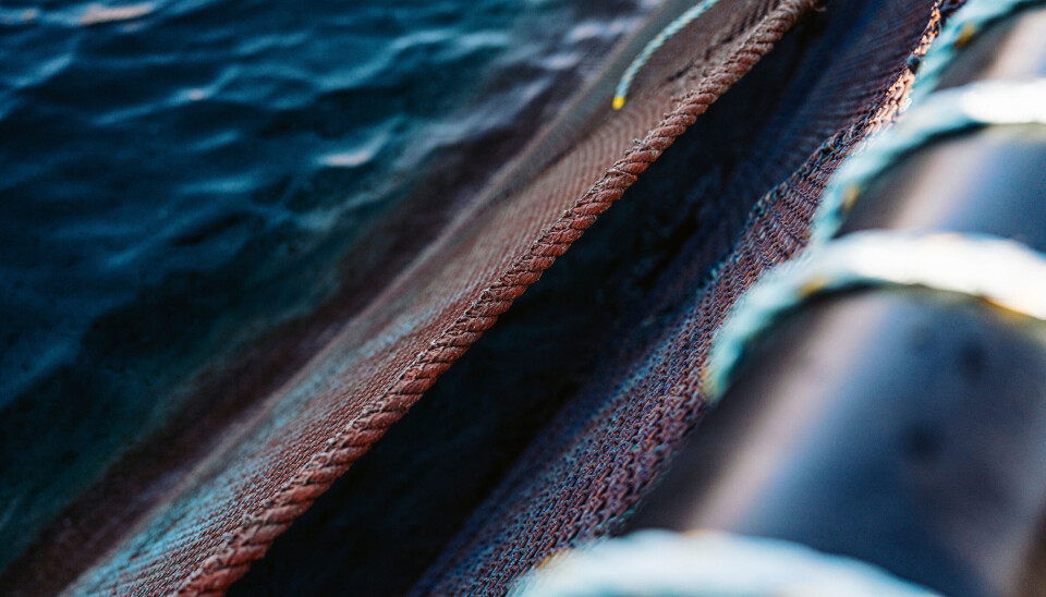 An early iteration of the double netting system used by Scottish Sea Farms in Shetland. The gap between the nets in the current iteration of the system can be up to 5 metres at the bottom, which in the past has been a vulnerable area of pens.