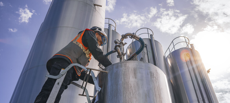 Slàinte! Omega-3-from-whisky-waste pioneer raises £14m for expansion