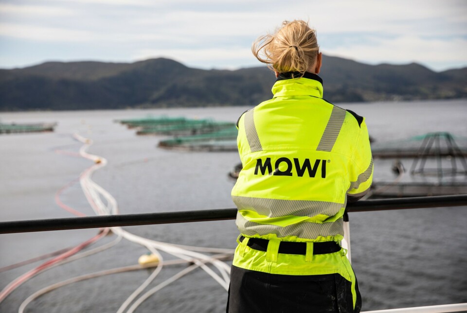 Mowi is still the world's largest salmon producer and alone accounts for about 20% of Norway's production and one third in Scotland and North America.