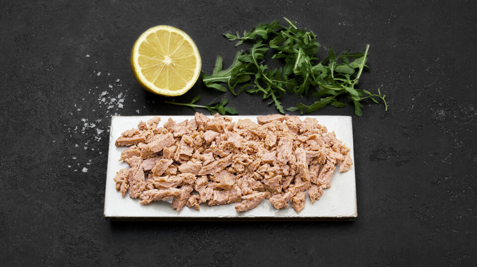 Hailia's upcycled salmon has a similar mouth feel to salmon fillet but is aimed at a different market.