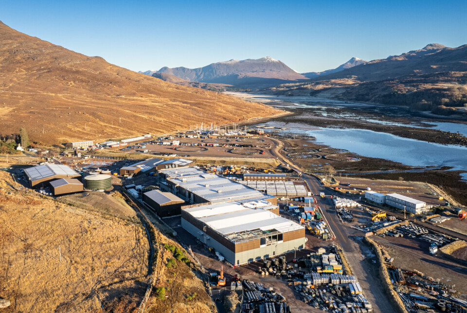 Bakkafrost Scotland's Applecross site is expected to be fully operational next year. It will have the capacity to produce 8 million 500g smolts per year, or more smaller fish.