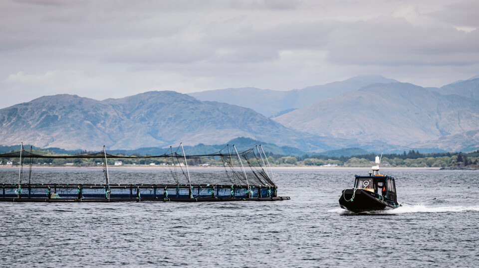 A rigid inflatable boat passes a salmon pen at SSF's Dunstaffnage site near Oban. Inset: Animal Equality UK executive director Abigail Penny, who claimed mort removal at the site was carried out to mislead MSPs.