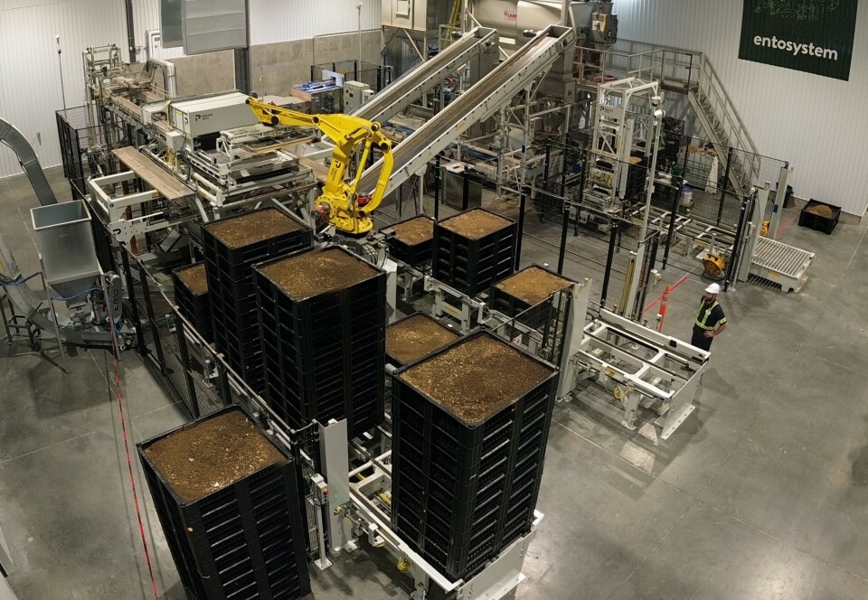 Inside the Entosystem factory. A CAD 58m investment will finance expansion and a second factory.