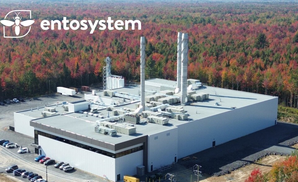 Entosystem produces insect protein at a factory in Drommondville, Quebec.