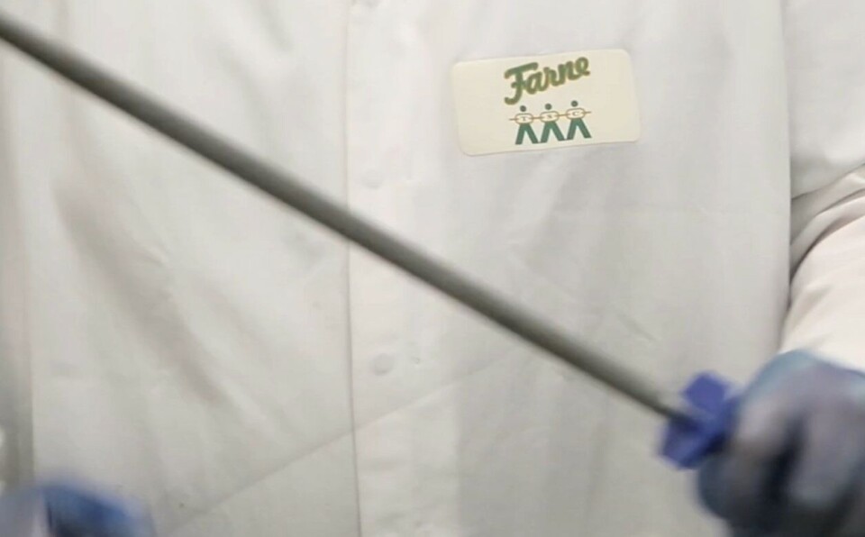 Processor Farne Salmon and Trout, based in Duns, is among the beneficiaries of this year's Marine Fund Scotland.