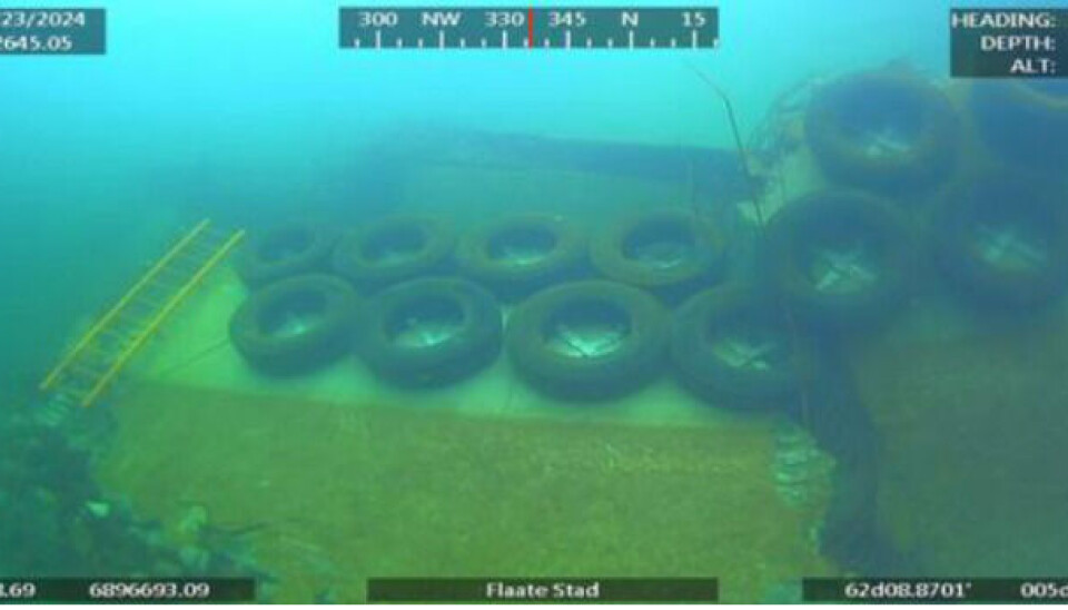 Grounded feed barge has slipped beneath the waves