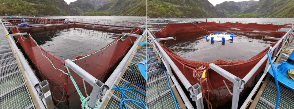 This is what the control pen, left, looks like compared to the pen with an air dome, right. In this picture of the dome cage, the dome is still on the surface. In the top picture it is submerged into the depths.