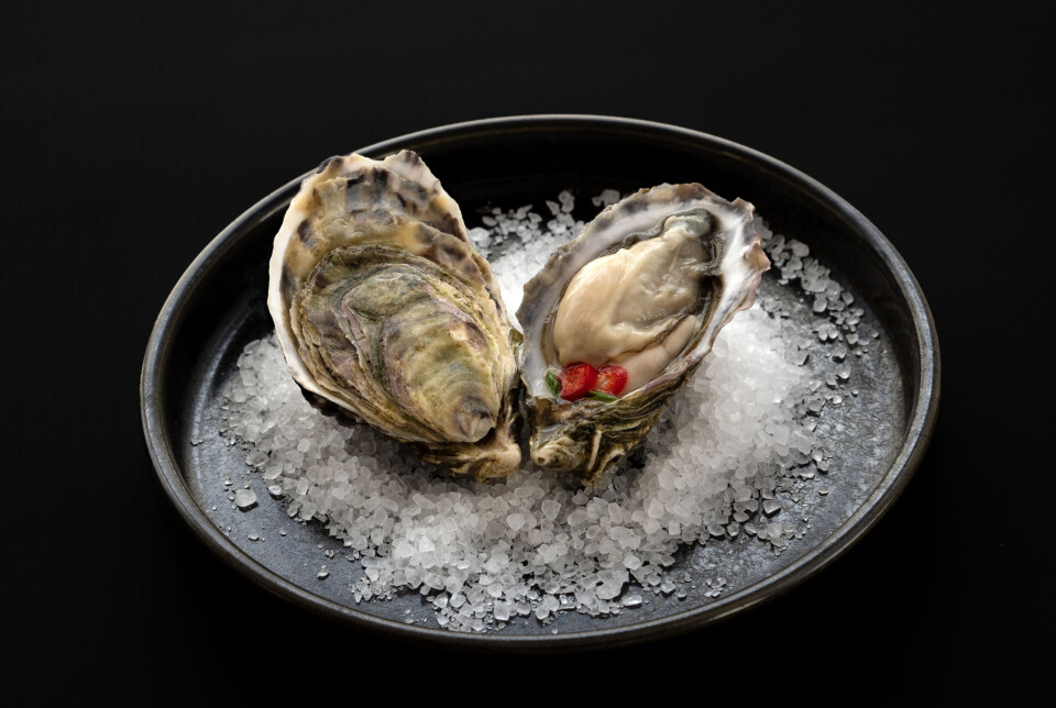 Morecambe Bay Oysters now have ASC certification.