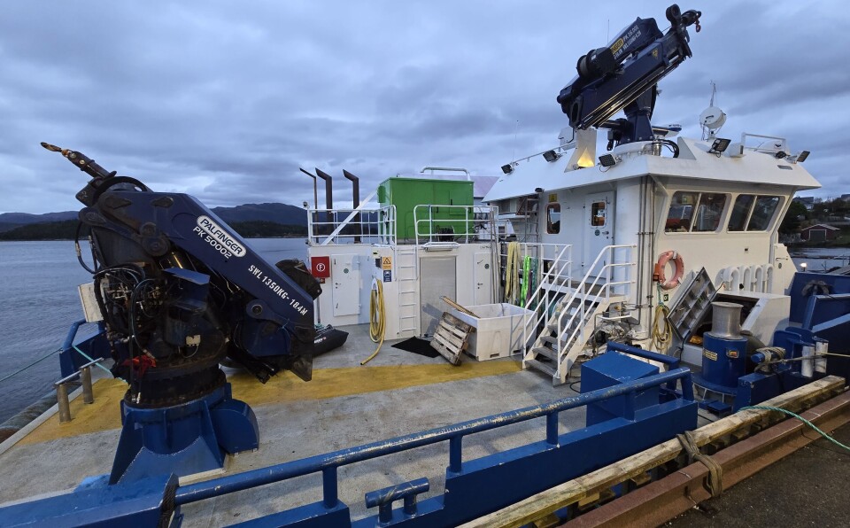 Erling, a catamaran workboat operated by Norwegian salmon farmer E. Karstensen, seen with the green PowerBX mounted on board. Maker Fjord Maritime says it can supply fish farmers in Scotland with such a system now.