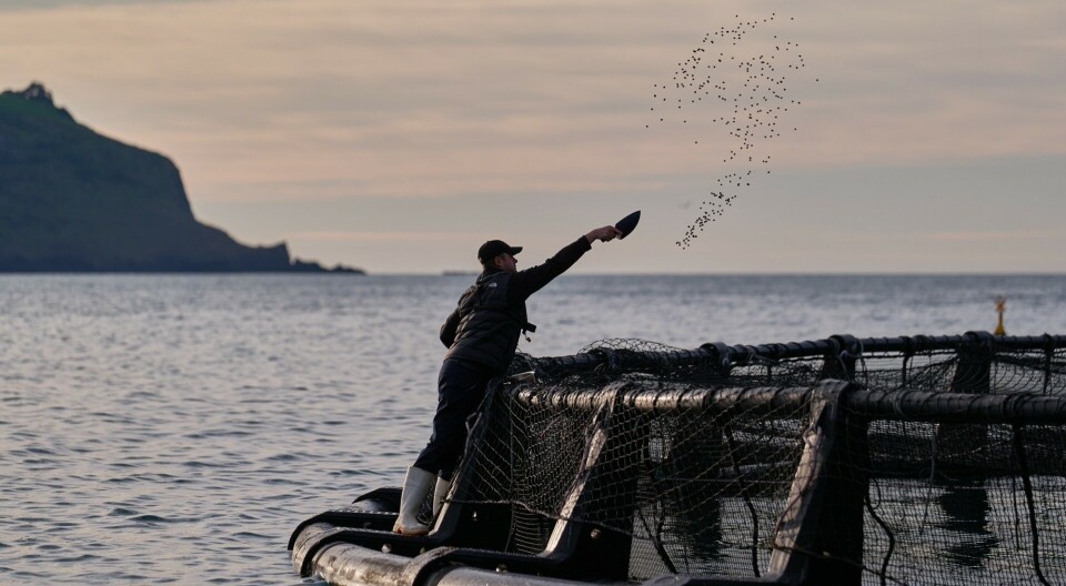 BioMar signs up first king salmon farmer for Blue Impact feed