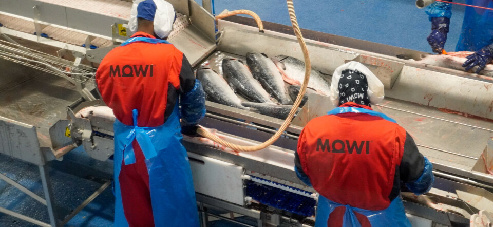 Mowi's processing plant in Hitra municipality in Norway is a busy facility. However, the Handbook shows that biological challenges and high mortality rates are putting pressure on further growth in the Norwegian aquaculture industry.