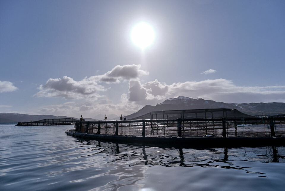 A salmon farm in Scotland. Survival rates have improved this year.