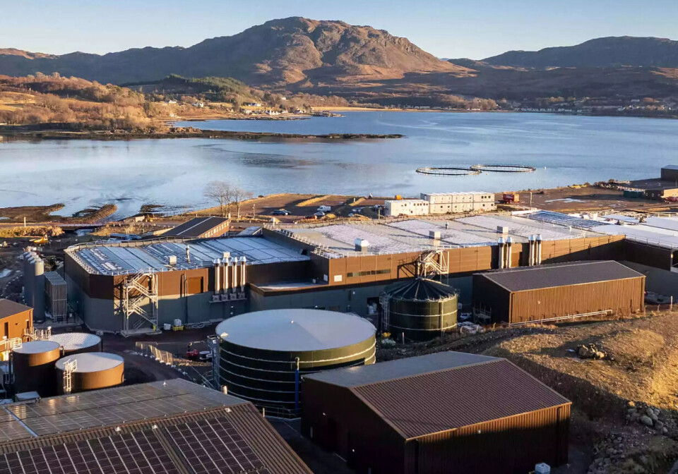 Bakkafrost Scotland's hatchery at Applecross will produce post-smolts with an average weight of 500 grams, shortening in-sea production. This is one reason why Kontali expects a 25% increase in salmon production in Europe.