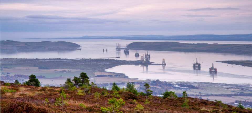 Spat'll do nicely: oyster grower partners with eco-group to restore firth