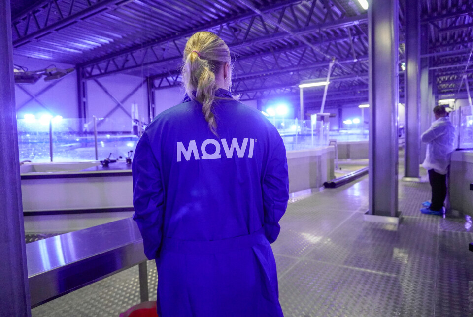 Illustrative photo from one of Mowi's post-smolt facilities.