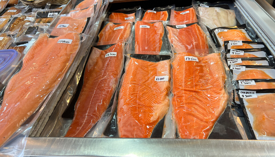 Chilean farmed salmon, priced in Chilean pesos, on a fish counter in Puerto Montt, Los Lagos region.