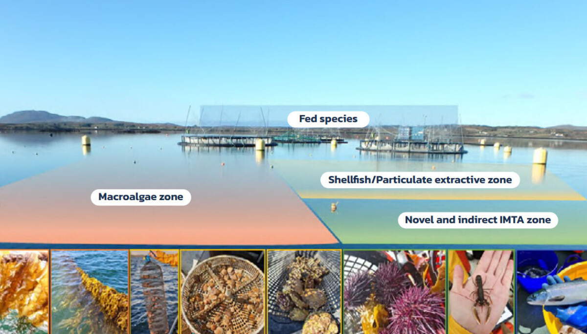 Imta Farm Free IMTA manuals published by EU-backed project