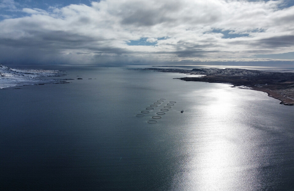 A Kaldvik site in Iceland.