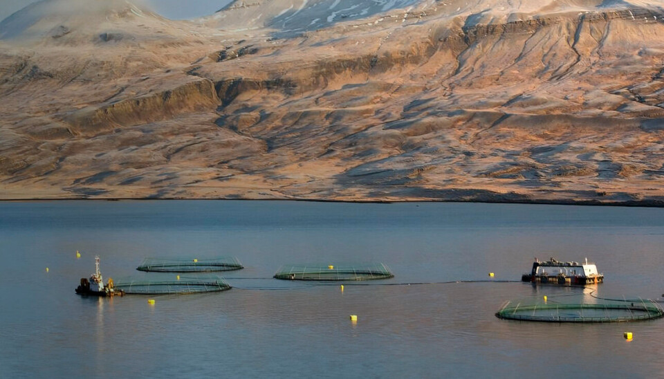 A Kaldvik site in Iceland.
