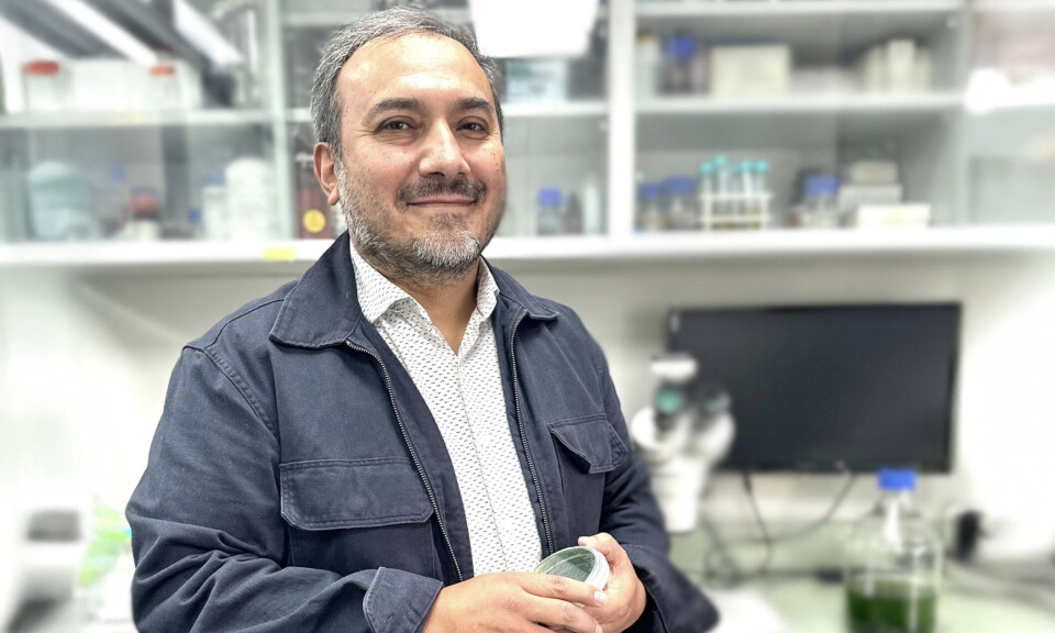 Dr Jaime Romero, academic and researcher at the University of Chile who leads the project.