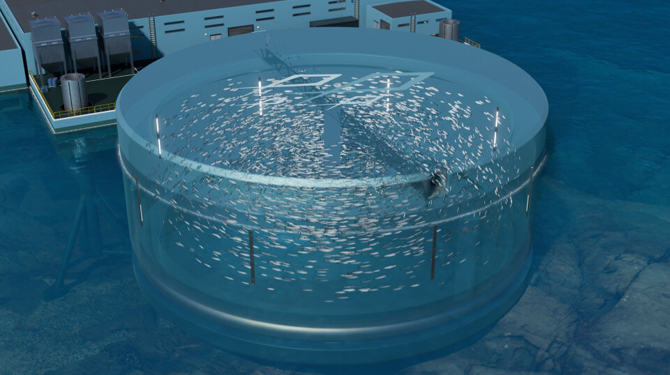Transparent image of a tank showing fish in water and a center sieve, with light and camera integrated into the tank wall. Such a post-smolt and food fish facility at sea, according to Multigen Akva, can have an annual production of 4-5 million individuals.