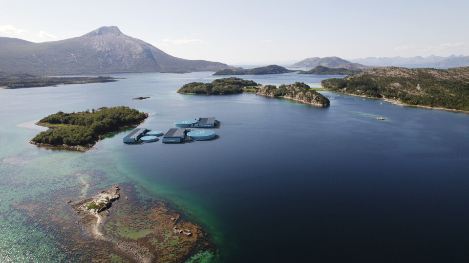 Multigen Akva's closed facility concept can be used as both a post-smolt and food fish facility. The facility has two tanks of 5,000 cubic metres with their own RAS systems, as well as two food fish modules.