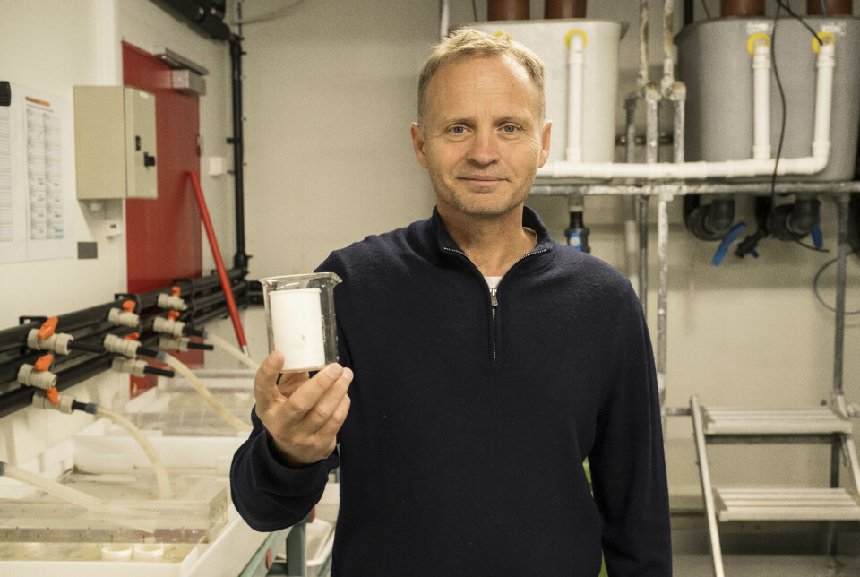 Jan Rune Nordhagen is the general manager of Vestland Pharma.