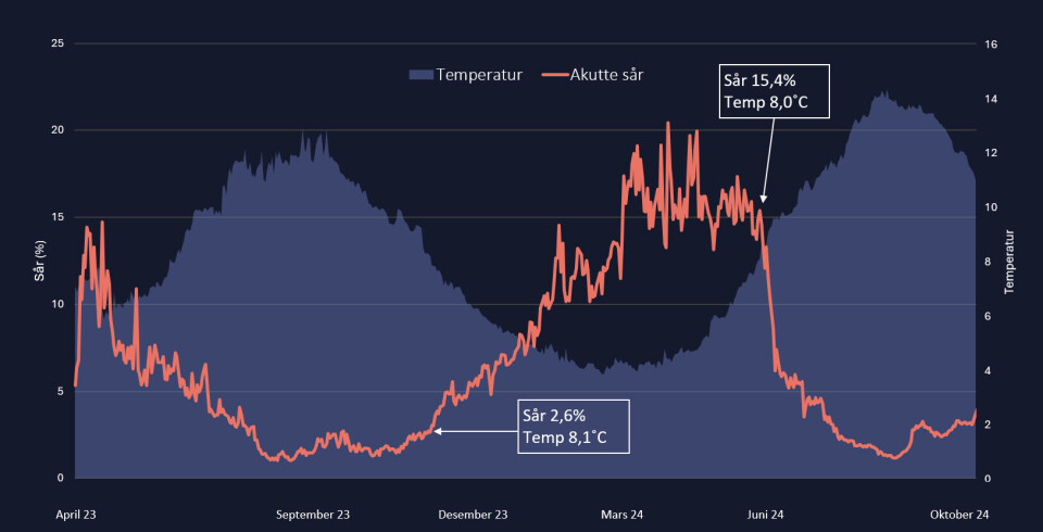 The data shows a clear correlation between water temperature and acute sores.