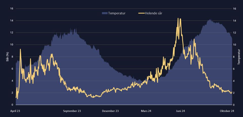 As the temperature drops, the proportion of healing sores gradually increases, indicating that sores heal even at colder water temperatures.
