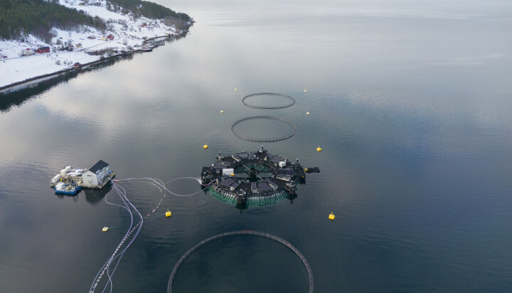 SalMar's Marine Donut is idyllically located outside Molde.