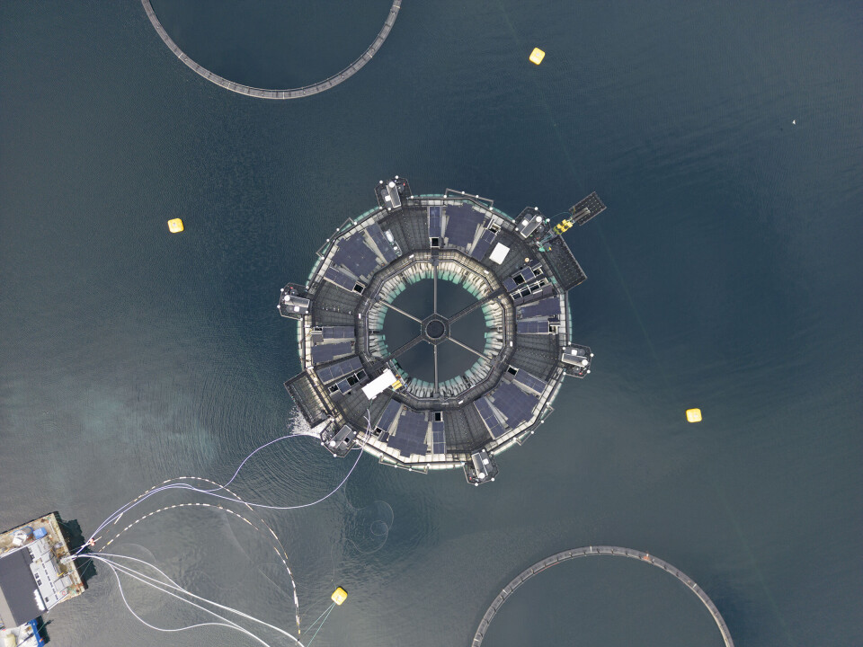 Marine Donut seen from above.