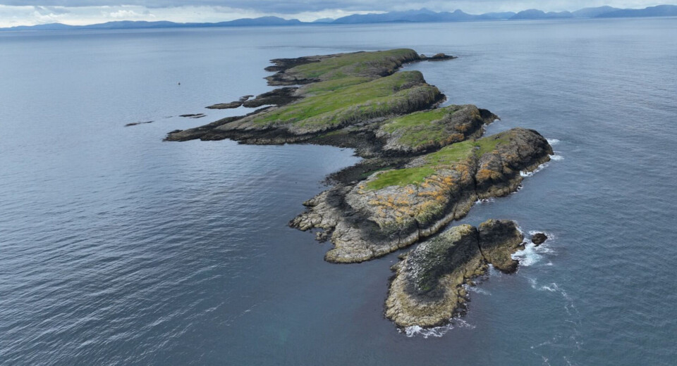 Mowi is reported to have bought Fladda-chuain (Flat Island of the Ocean), three miles north of Skye. The island was on the market for offers over £190,000.