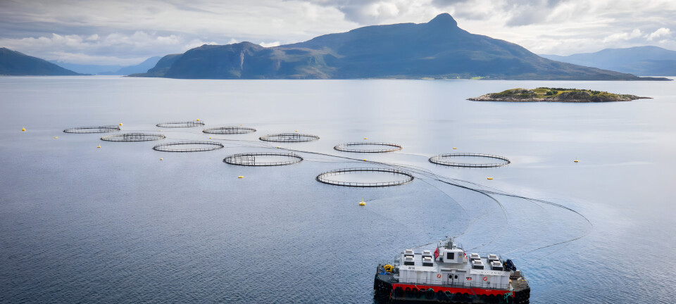 Mowi acquires Nova Sea for NOK 7.4 billion